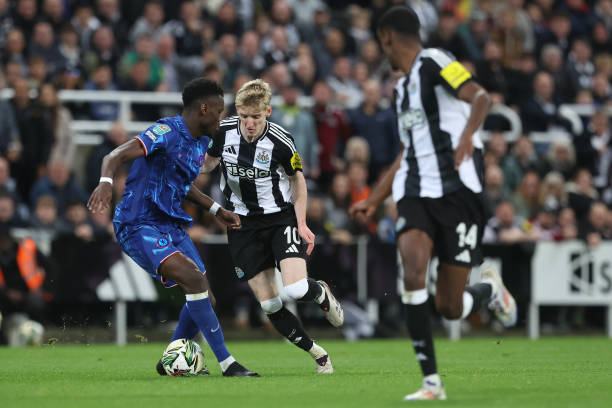 新的文化与 新的文化与